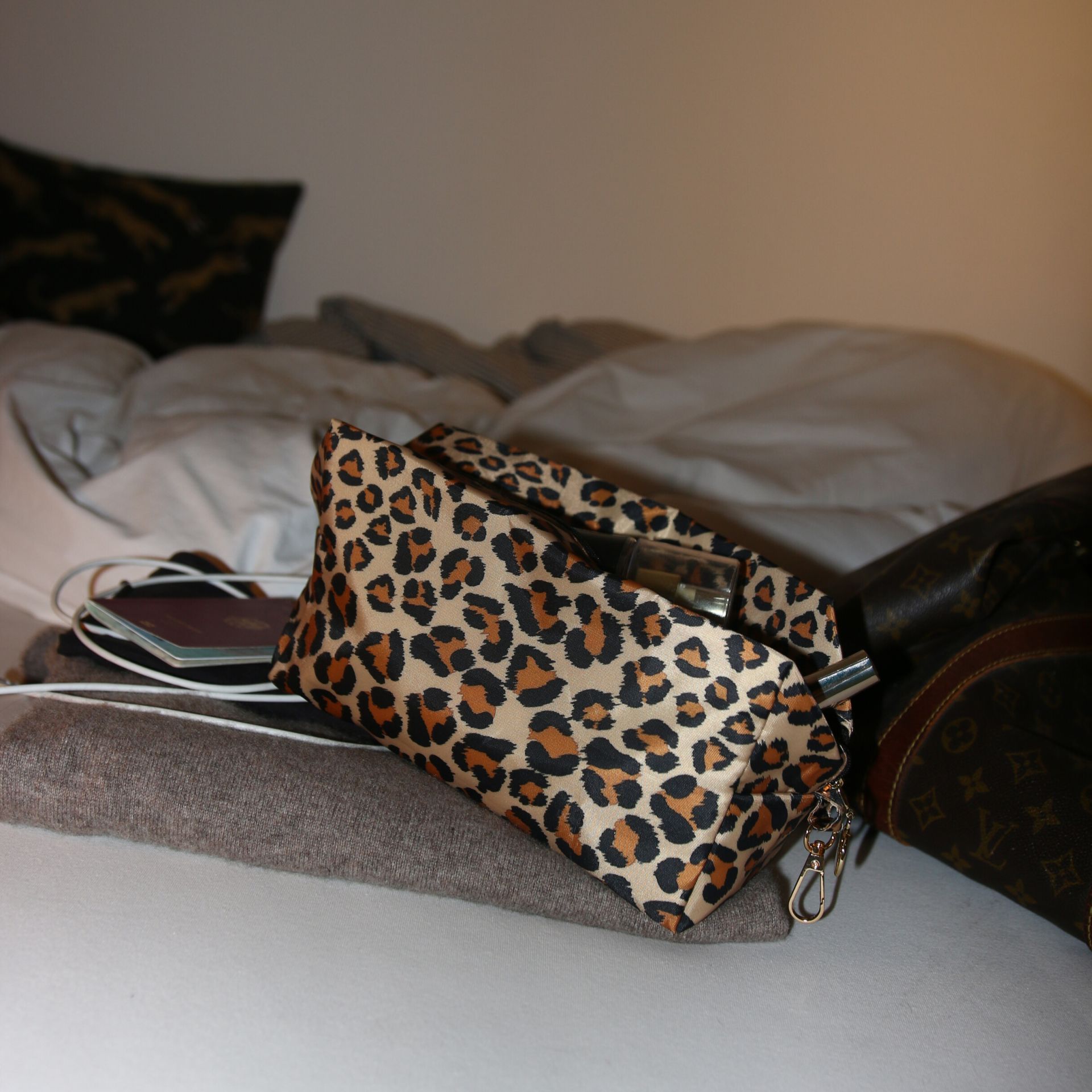 Cedon Easy Pouch Bag - Kulturbeute in Grösse L Leo 